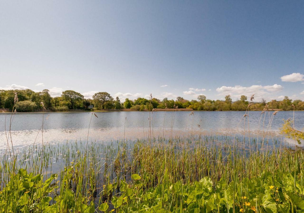 The Lochside House Residence Эдинбург Экстерьер фото